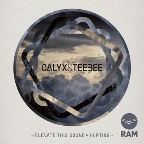 Calyx & TeeBee new EP Elevate This Sound